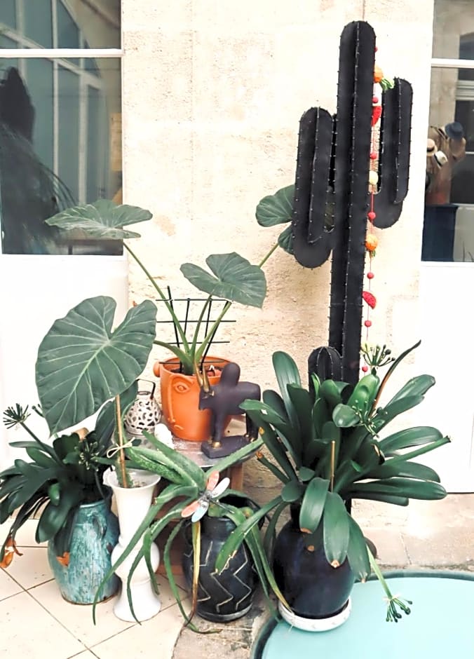 Koko & Baobab – Bordeaux, FL