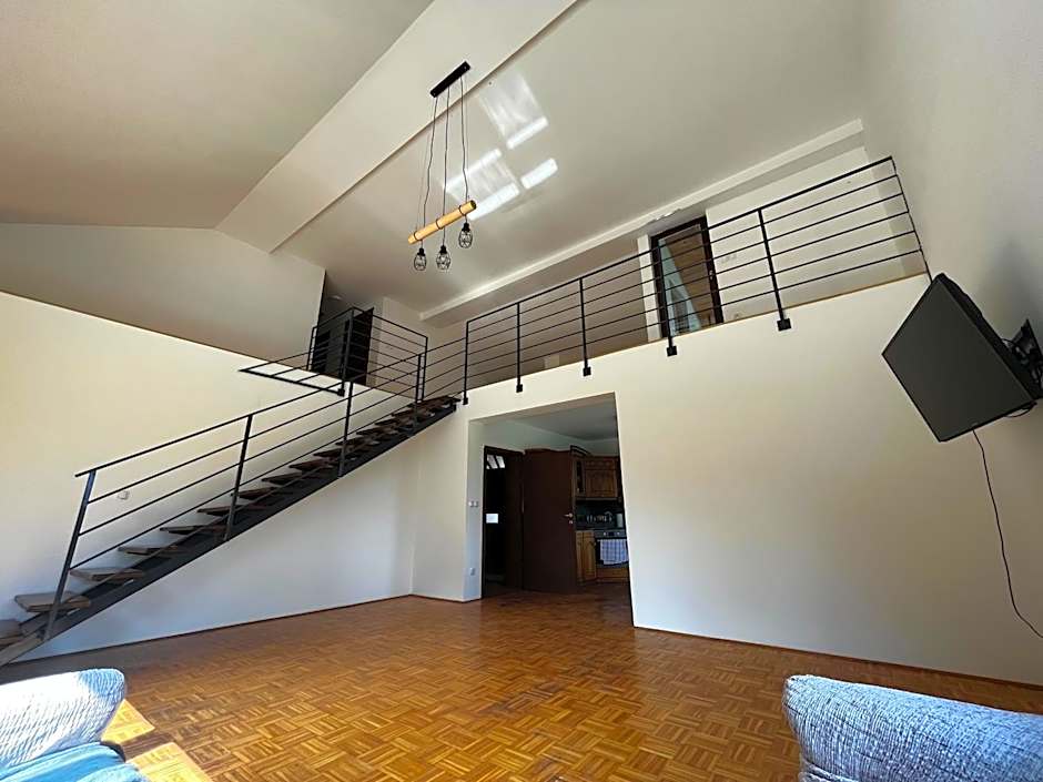 Rooms and apartments Biš