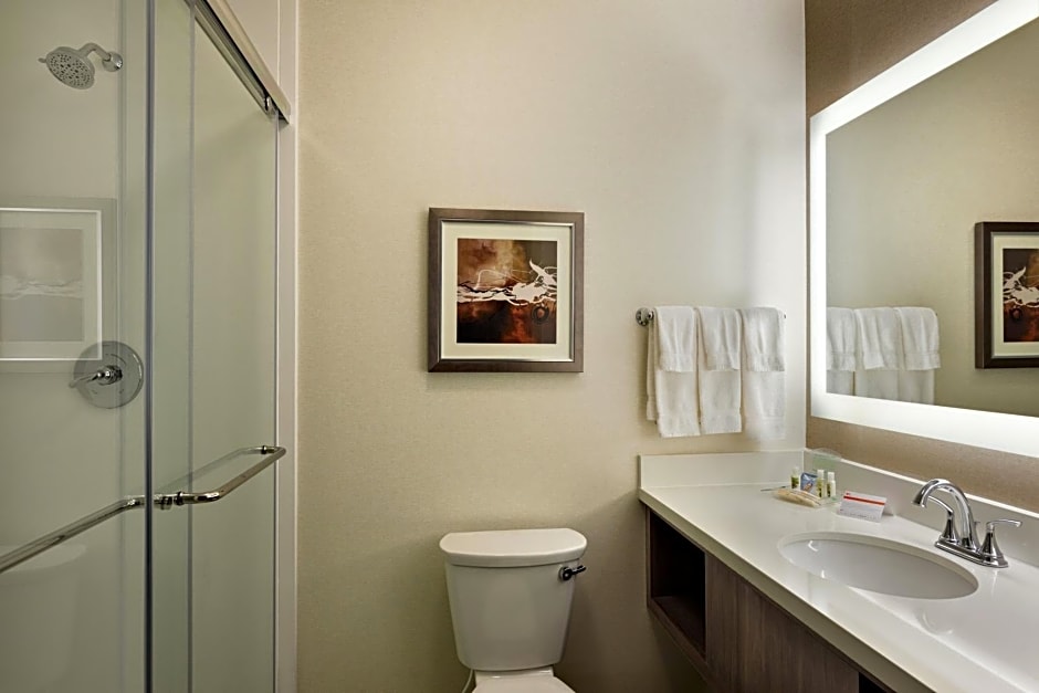 Holiday Inn St. George Convention Center, an IHG Hotel