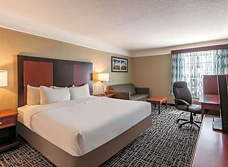 1 King Bed Non-Smoking