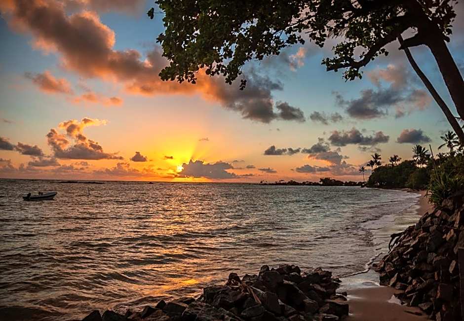 Village Paraíso Tropical