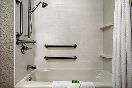 1 King Bed Suite Comm Access Tub