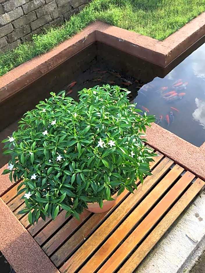 Paka Tamim Seaview Hotel