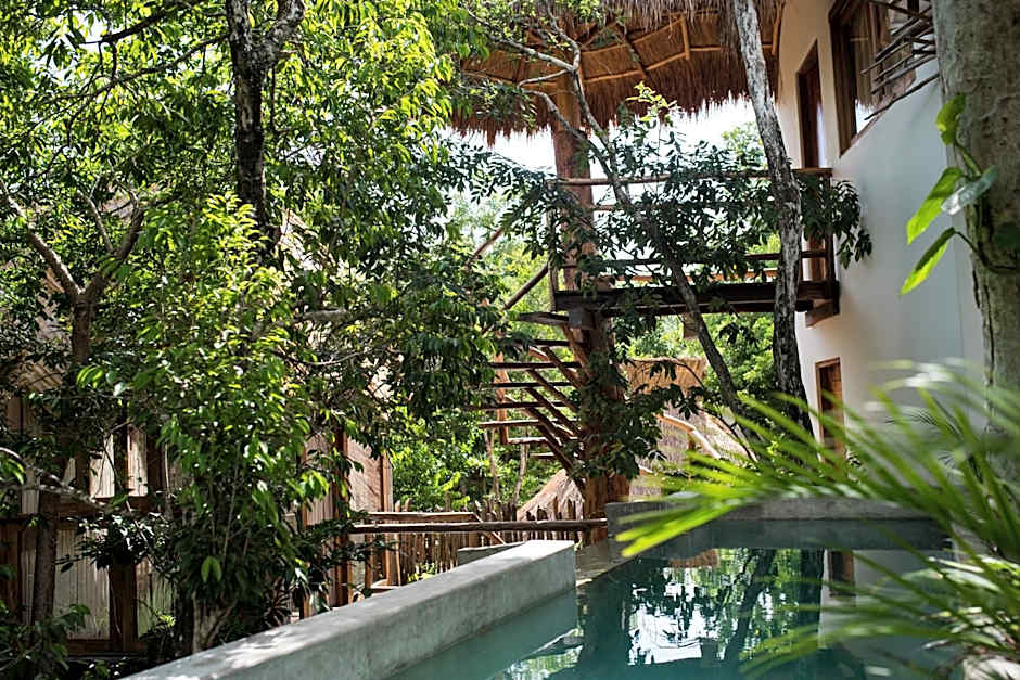 Orchid House Tulum Jungle