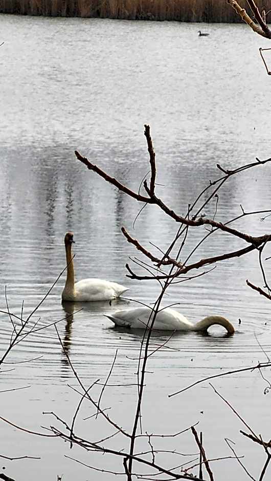 Dreamcatcher Lake House
