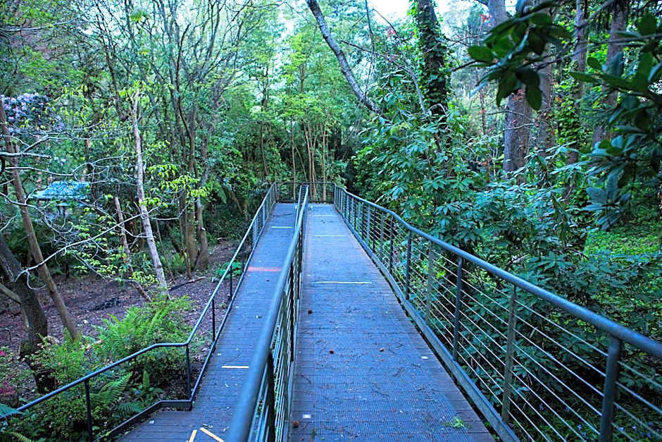 Linden Gardens Rainforest Retreat