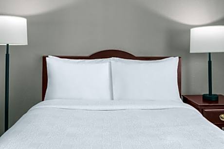 1 King One Bedroom Suite Accessible Roll-in Shower