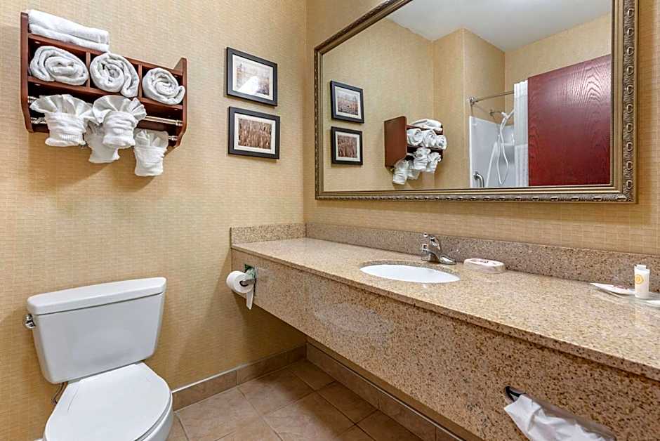 Comfort Suites Elkhart South