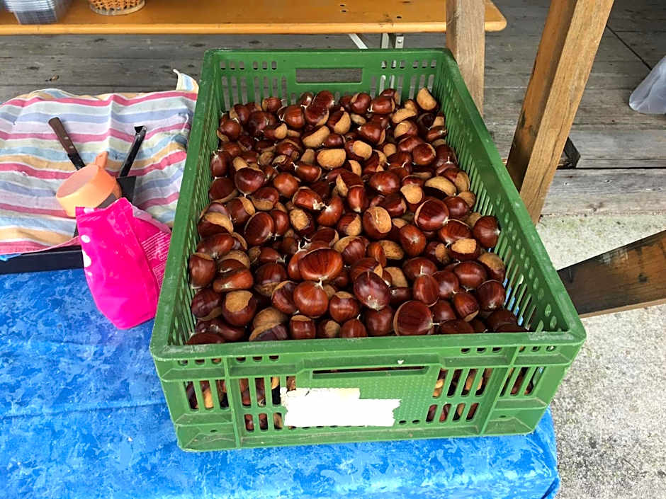 Planinski dom Janče