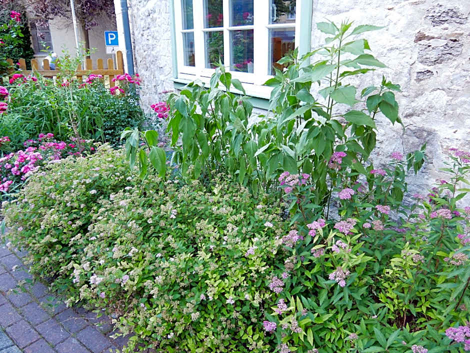 Schloss Goldacker - das Schloss der Gesundheit