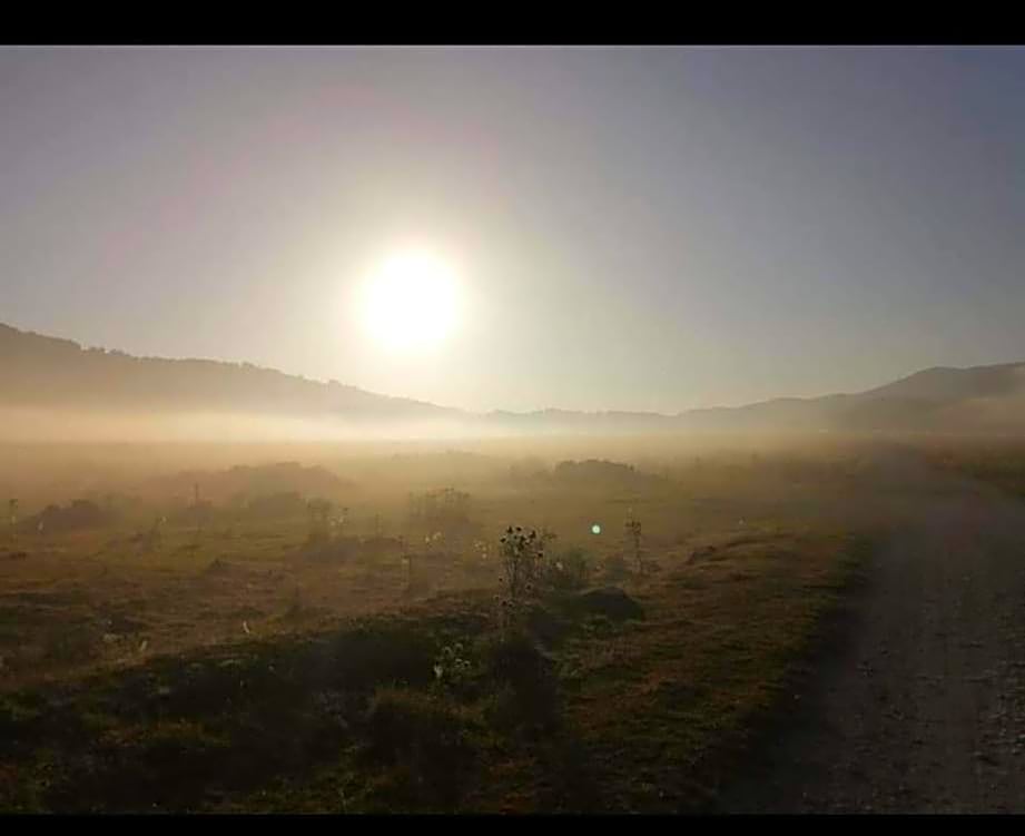 La Stella Danzante B&B