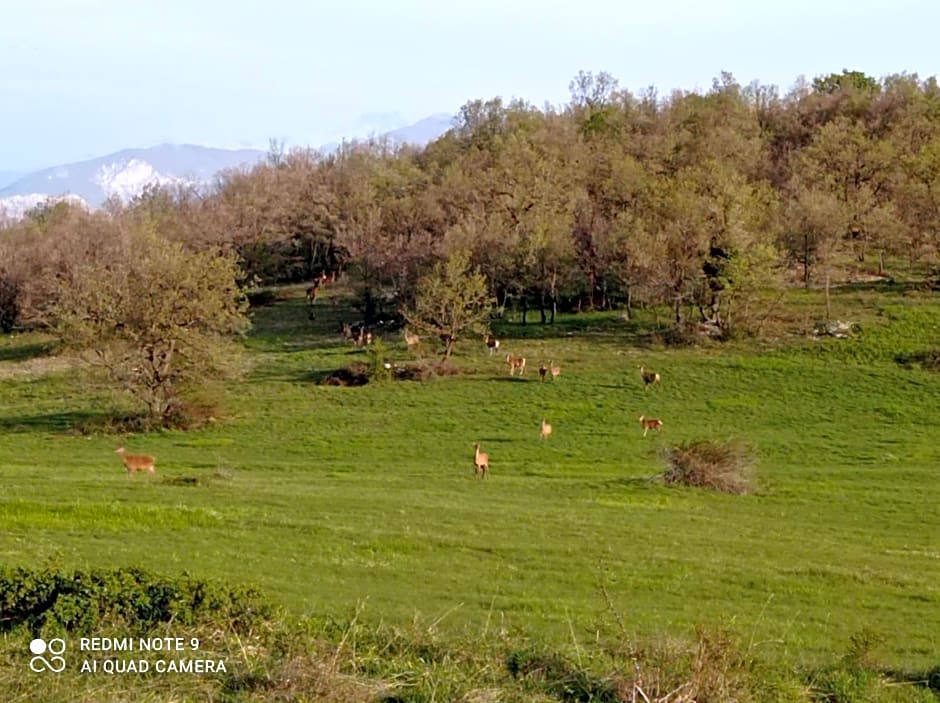 Terrae Eremis: Ristorante, Bar, B&B