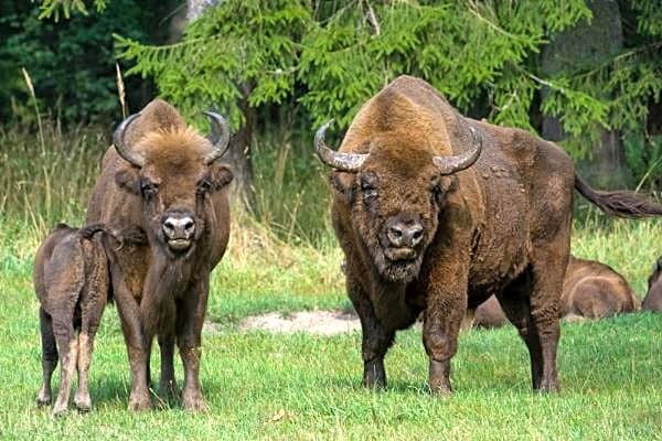 Pokoje Gościnne z łazienkami