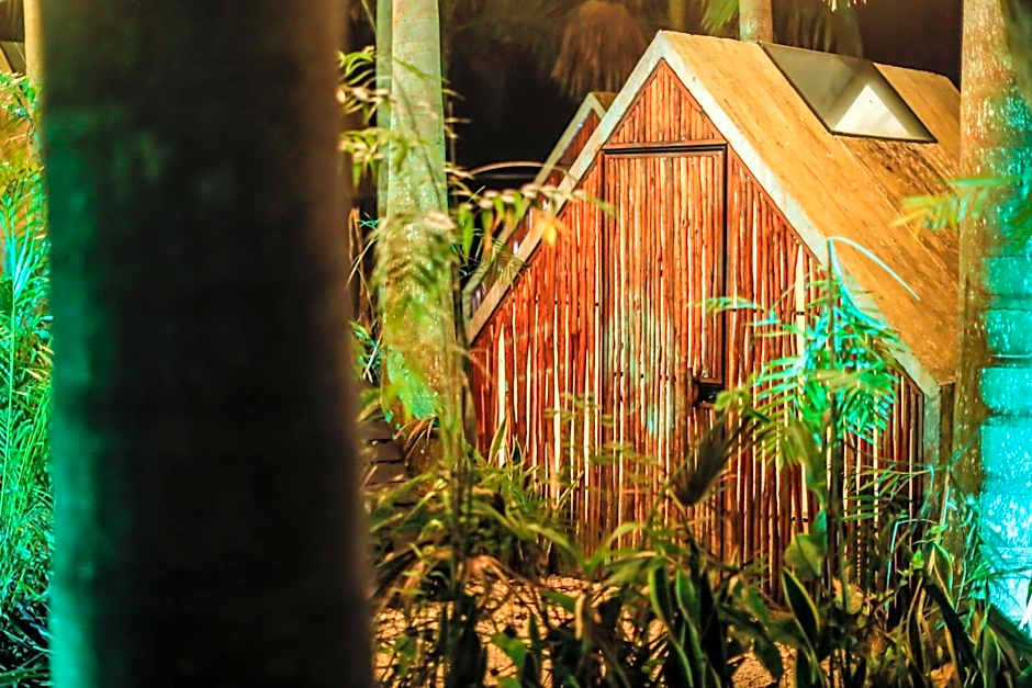 Bufo Alvarius Sanctuary Bacalar