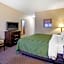 Quality Inn Smyrna