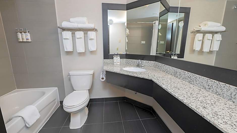 Holiday Inn Montreal Centre Ville Downtown By IHG