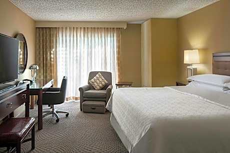 Guest room, 1 King, Sofa bed