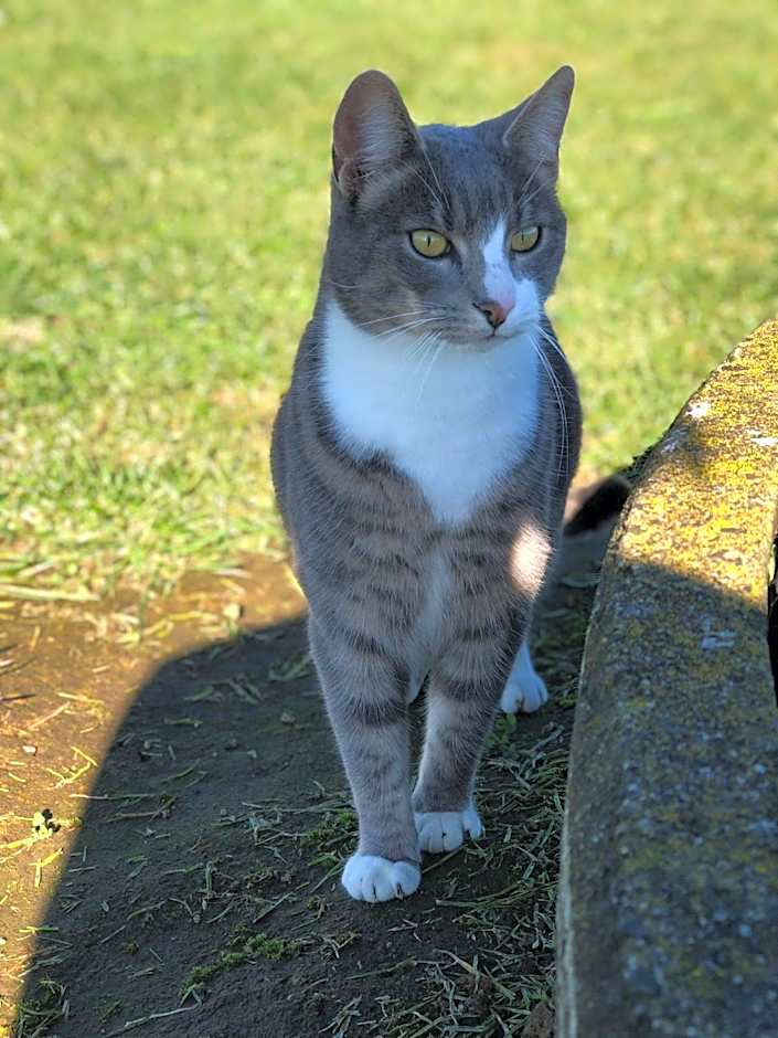 Cosy Country Stay B&B