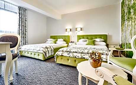 Deluxe Family PLUS Room