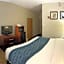 Comfort Inn Downtown - University Area