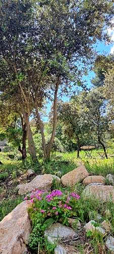 LES BOIS DE ZOLA entre Provence et Luberon