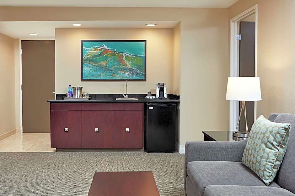 Hilton Houston Plaza/Medical Center
