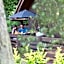 Exmoor Gate Lodges