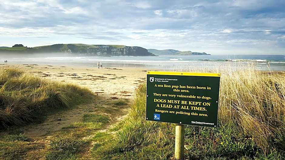 Kaka Point Spa Accommodation - Catlins