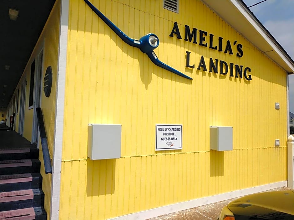 Amelia's Landing