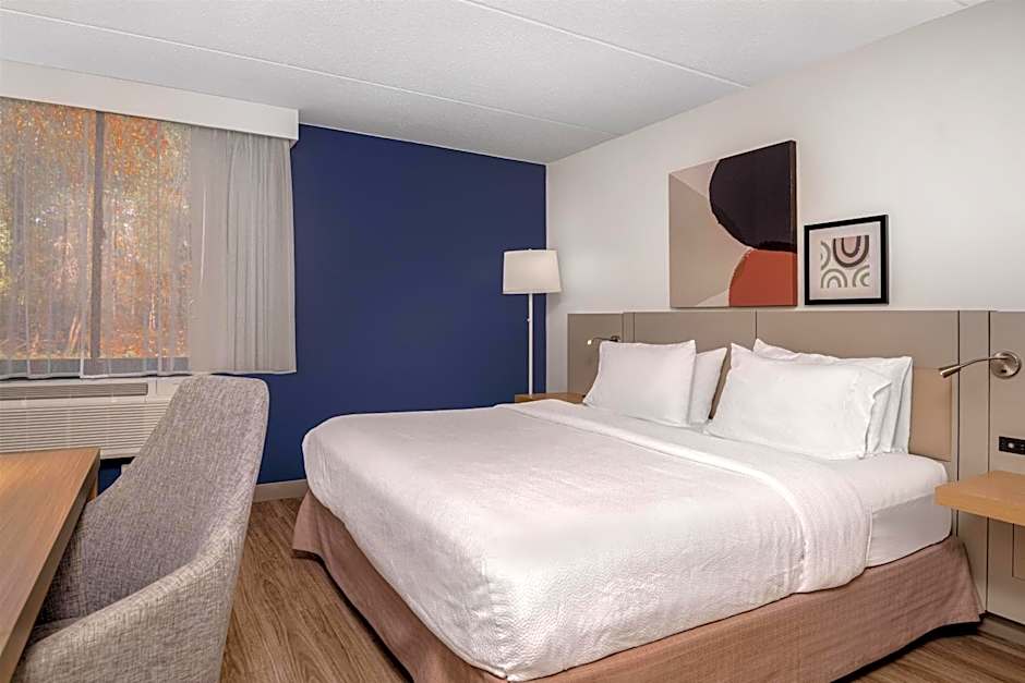 Photo 1 of 8 of 1 King Bed, Mobility Accessible, Bathtub