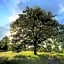 La Tiny du Parc : Saint Symphorien des Monts