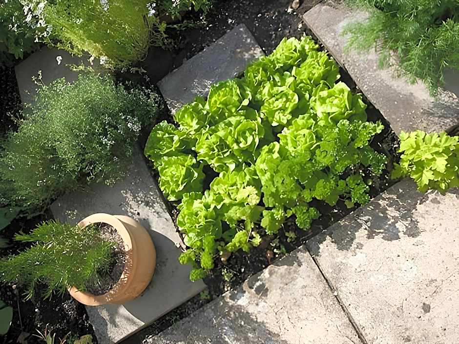 Stay at Penny's Mill