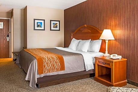 1 King Bed, Nonsmoking, Upgrade
