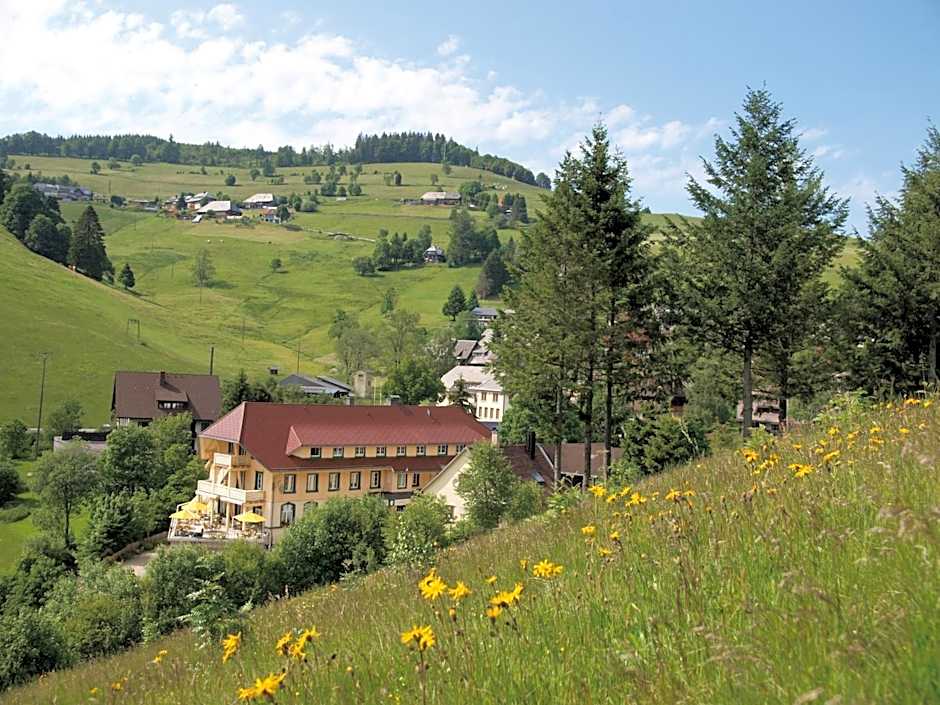 Grüner Baum Naturparkhotel & Schwarzwald-Restaurant