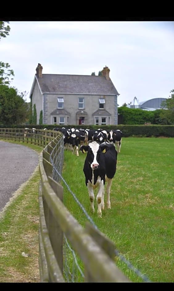 Ballyginniff Farm House