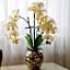 PLAZA Hotel Blankenburg Ditzingen, Sure Hotel Collection