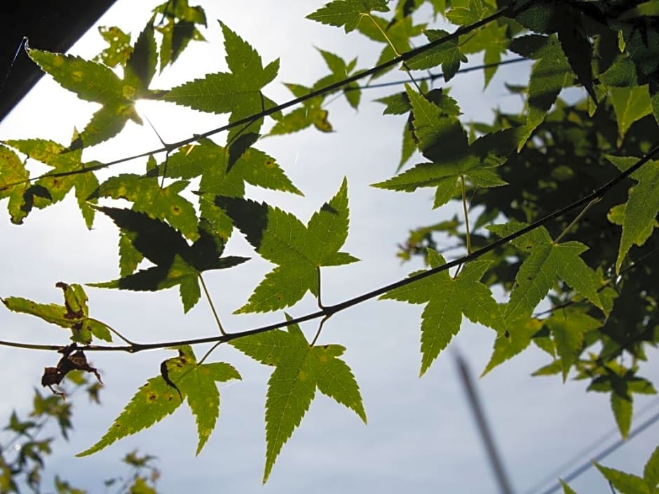 Maple Leaf Holiday Villa