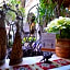 Hotel De La Soledad