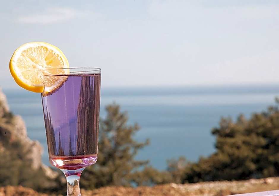 Lavanta Butik Otel Turunc