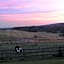 Inn At Buck Hollow Farm