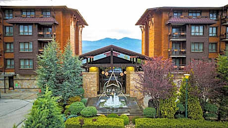 Maxi Park Hotel & Spa