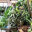 012 Modern Studio Luxurious Condo Wifi 100 Mb