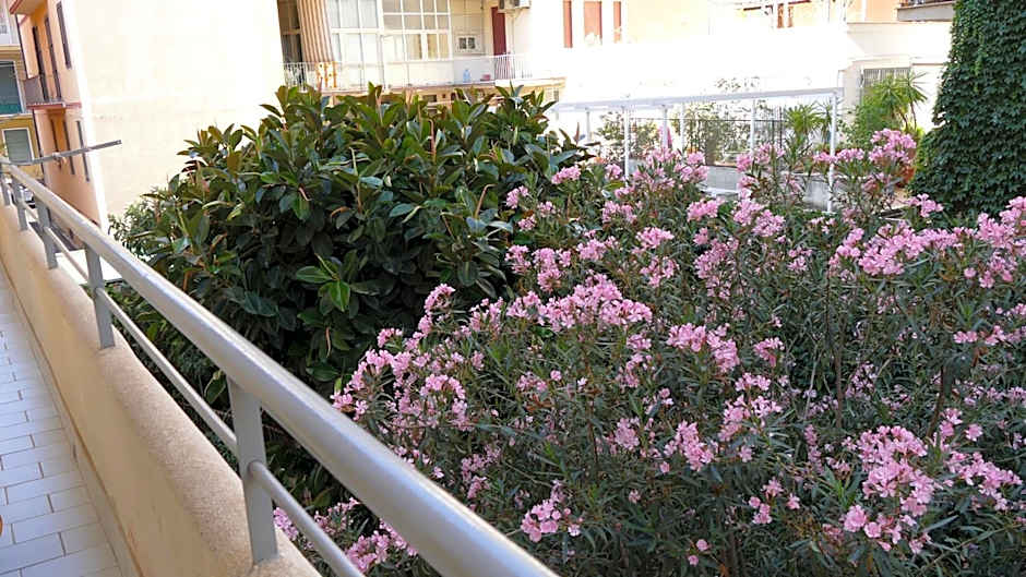B&B Fusorario