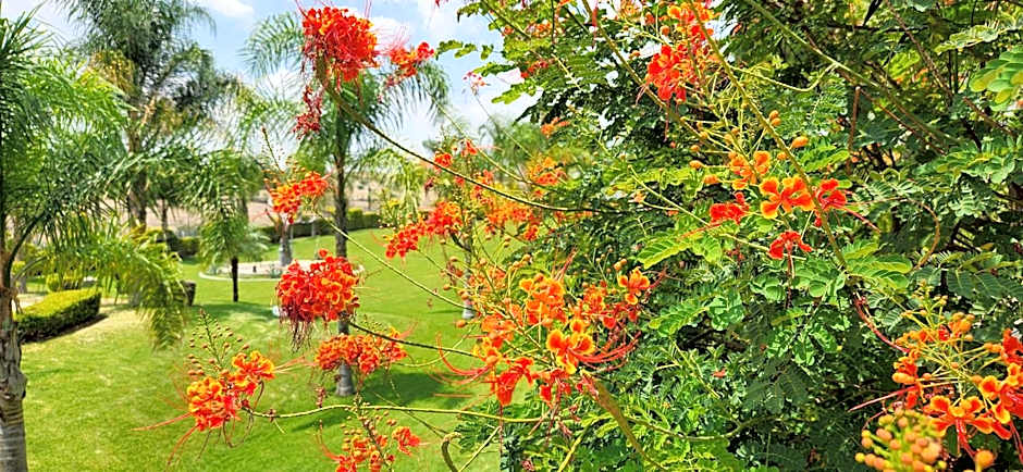 Hacienda Santa Ireme