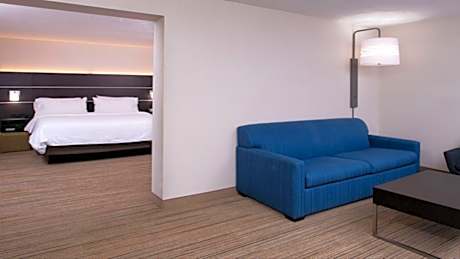 1 Kng Bed Standard Comm Mobil Access Tub