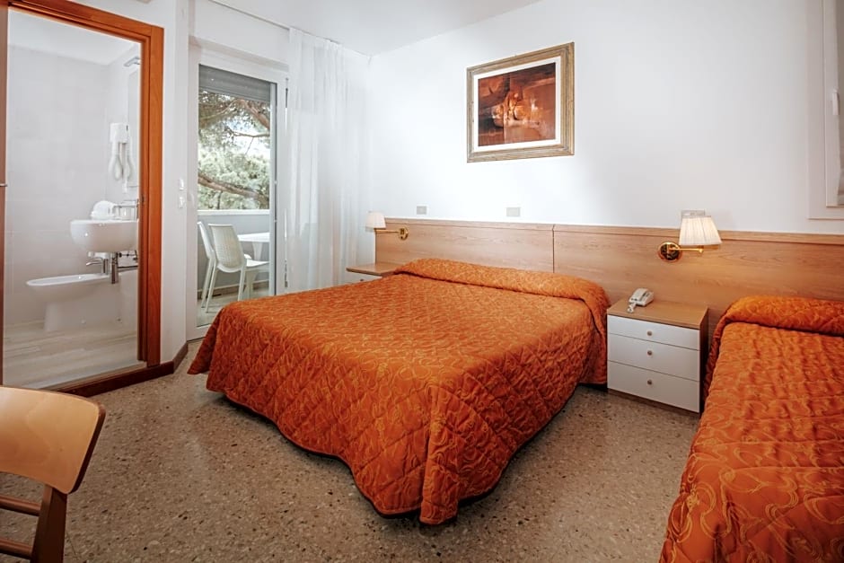 Hotel Meublè Zenith
