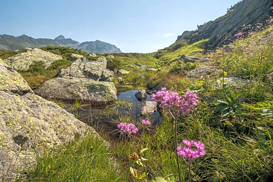 Hotel Bradabella - Montafon