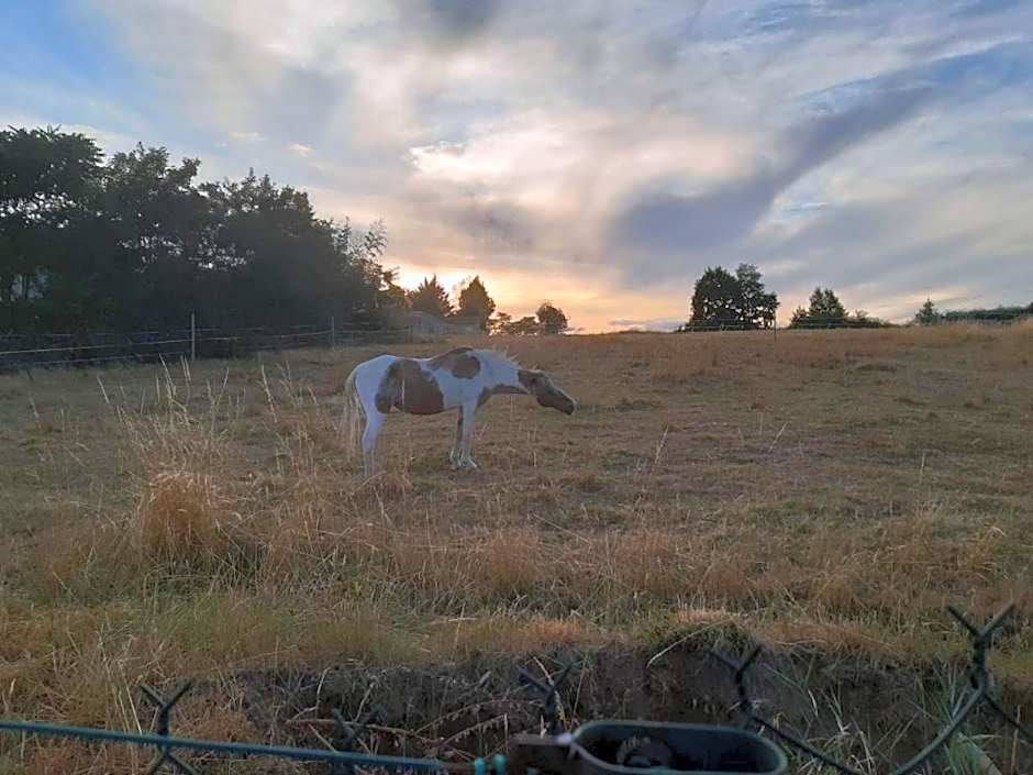 maison blanche piscine et petit déjeuner