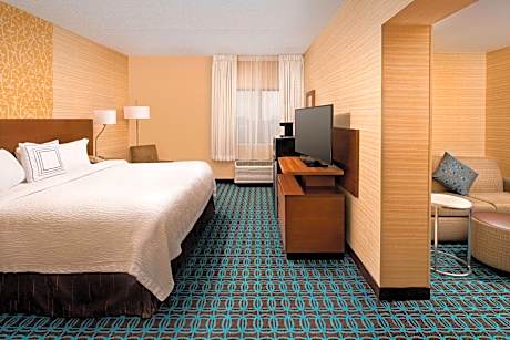 Suite, Studio, 1 King, Sofa bed