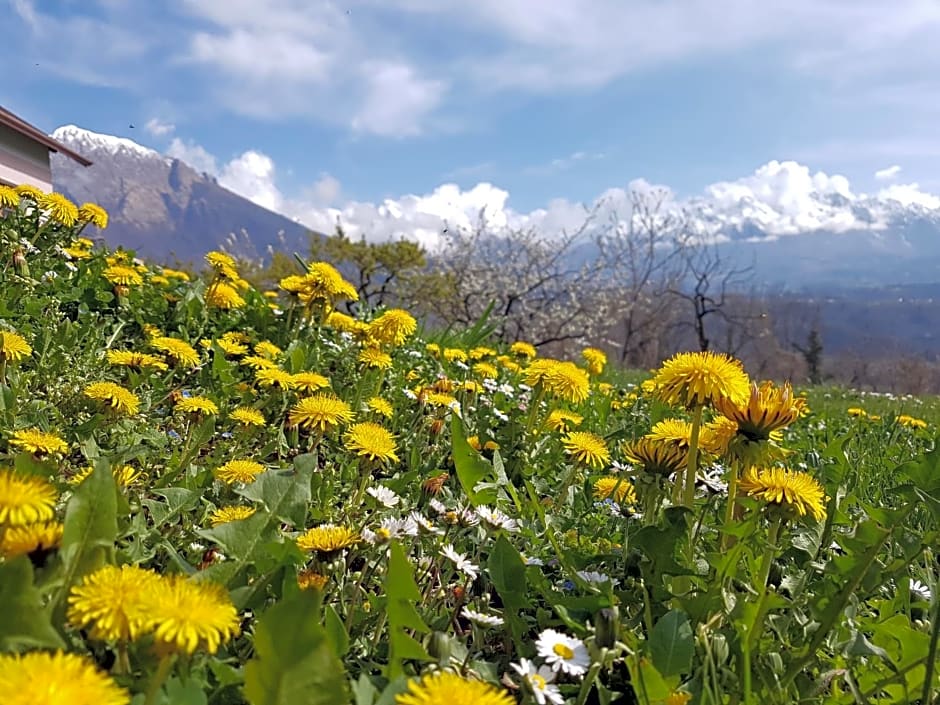 AGRITURISMO La Giasena